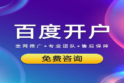 竞价广告的投放技巧与网络推广的实践